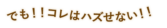 でも！！コレはハズせない！！