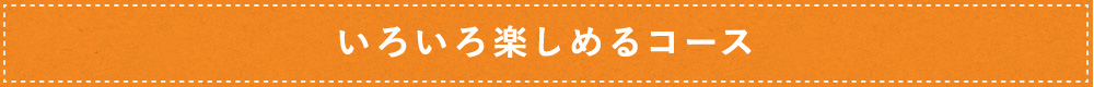 いろいろ楽しめるコース