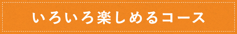 いろいろ楽しめるコース